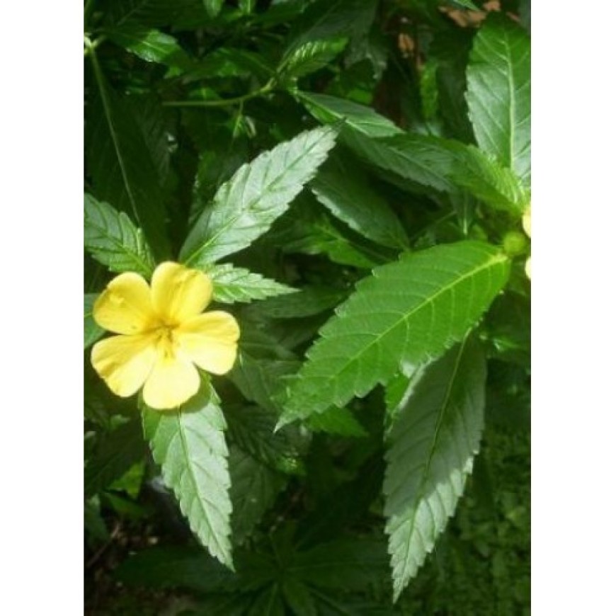 Нови продукти