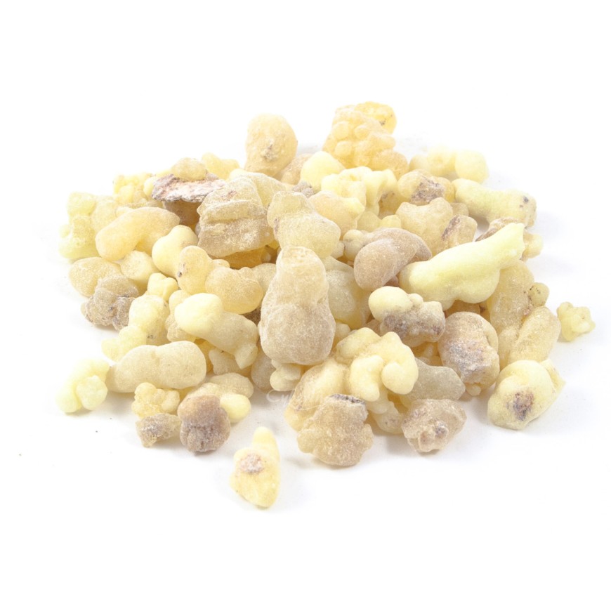 Нови продукти